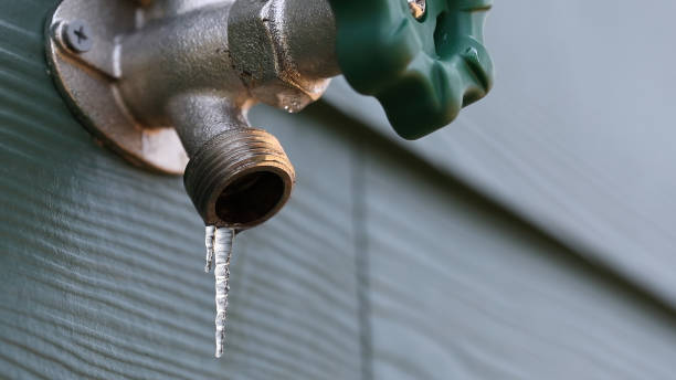 Best Local Plumber Services  in Mineralwells, WV
